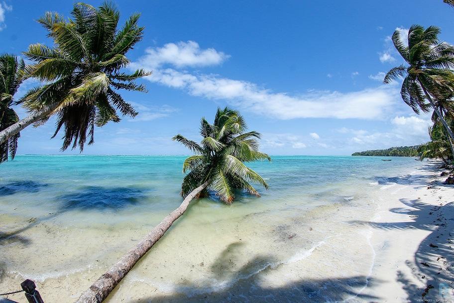 Hotel Club Paradise Ile Sainte-Marie المظهر الخارجي الصورة