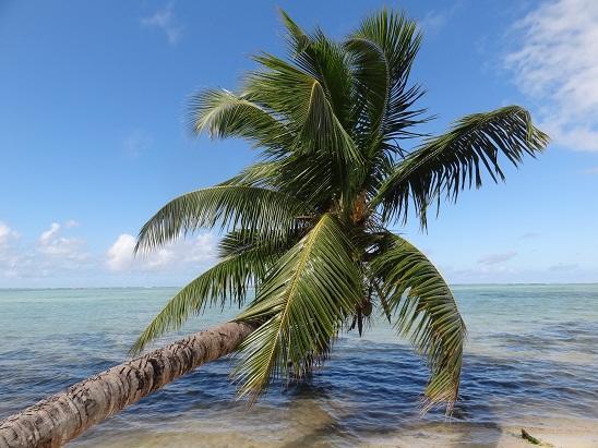 Hotel Club Paradise Ile Sainte-Marie المظهر الخارجي الصورة